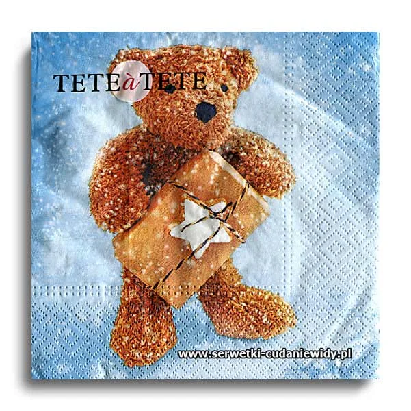 0763PACZKA Winter Teddy