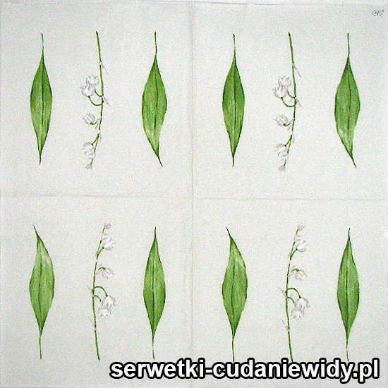 0778 Liście Konwali