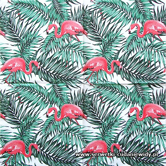 0802 Carribean Flamingo