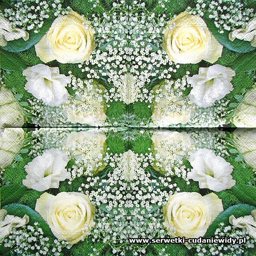 0807 White Flowers