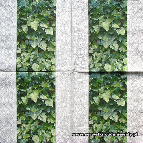 0828 Ivy And Ornaments