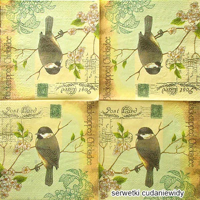 0844 Black-Capped Chickadee Expensive
