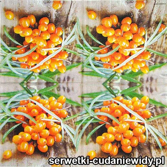 0881 Rokitnik