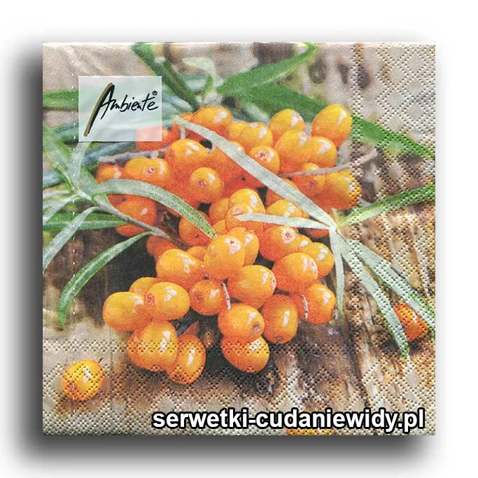 0881PACZKA Rokitnik Z Hali Mirowskiej