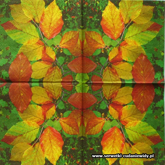 0896 Paper Design