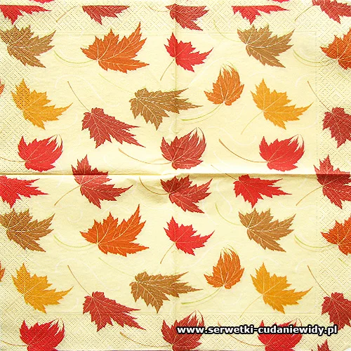 0911 Paper Design