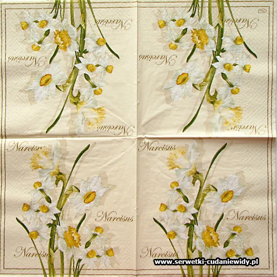 0946 Narcisus