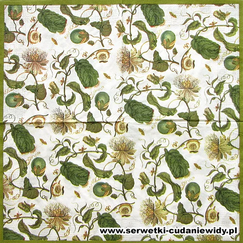 10028 Metamorphose Merian