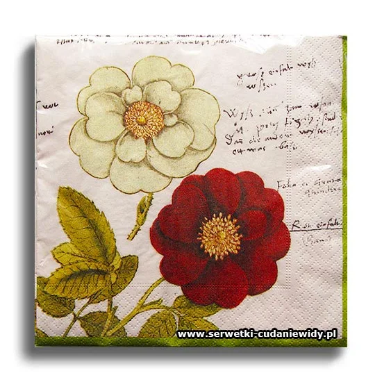 10033PACZKA Historia Plantarum