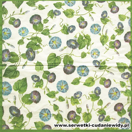 10037 Morning Glory