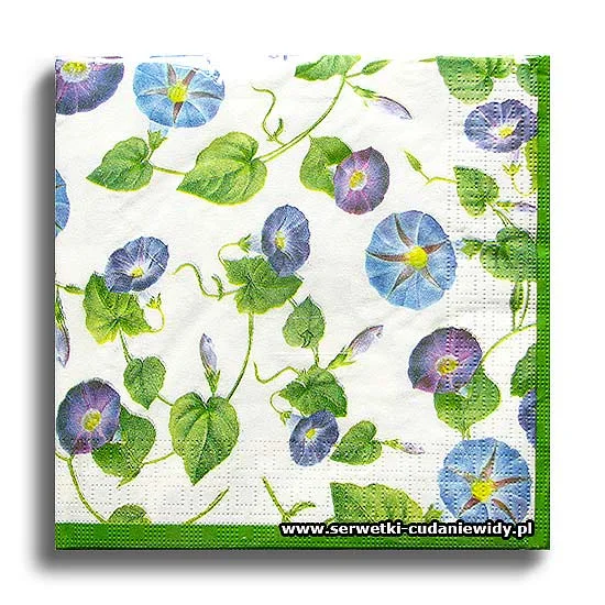 10037PACZKA Morning Glory