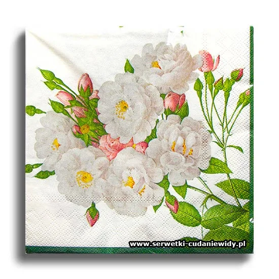 10063PACZKA Rose Noisettiana