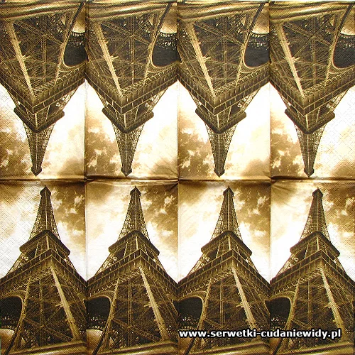 10073 My Paris