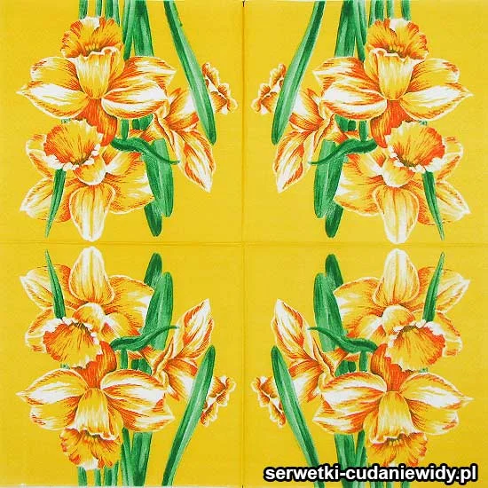 10084 Oryginalny Wzór