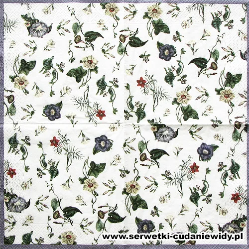 10087 The Ladies Flowergarden
