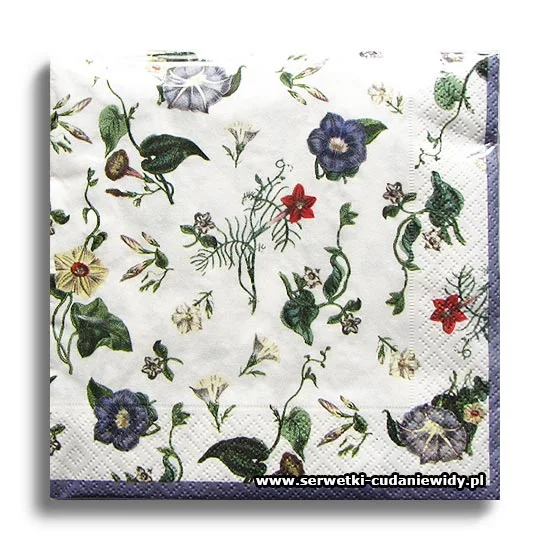 10087PACZKA The Ladies Flowergarden