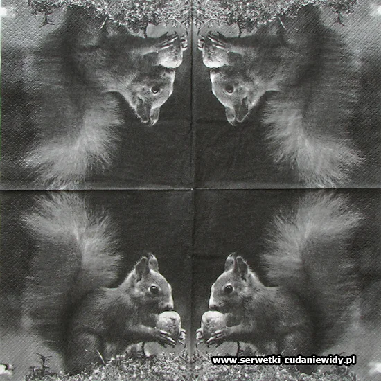 10118 Love Squirrel