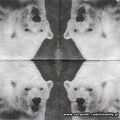 10161 White Bear