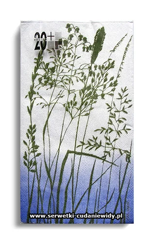 10195PACZKA Gras Blue