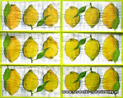 10197 Citroner White