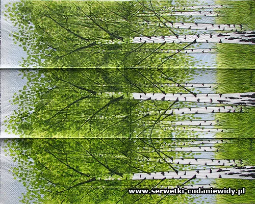10200 Bjorkar Lime