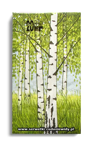 10200PACZKA Bjorkar Lime