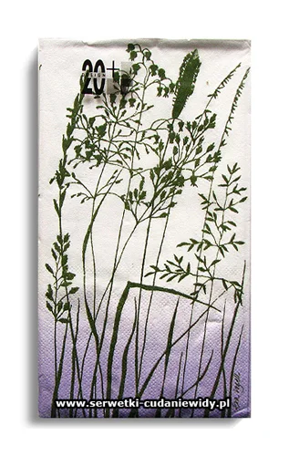10206PACZKA Gras Lilac