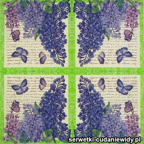 10207 Oryginalny Wzór