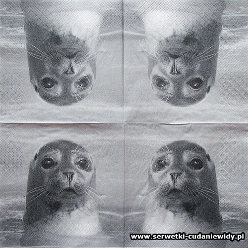 10249 Happy Seal
