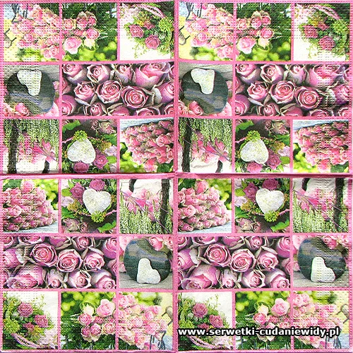 1029 Foto Roses