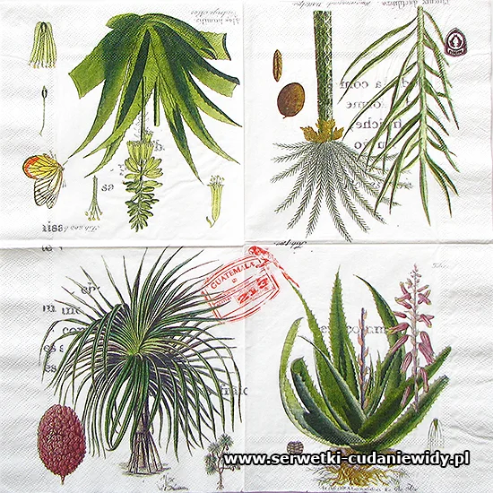 10324 Jungle Botanica