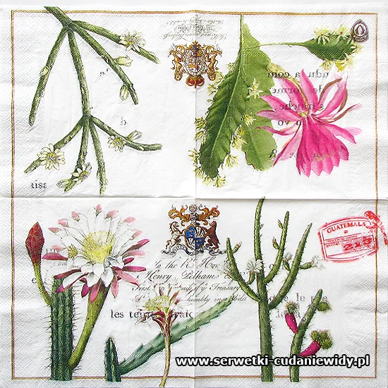 10326 Exotic Garden