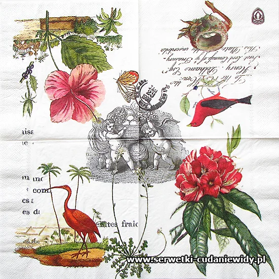 10339 Exotic Journey