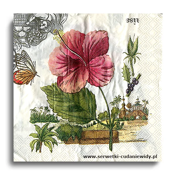 10339PACZKA Exotic Journey