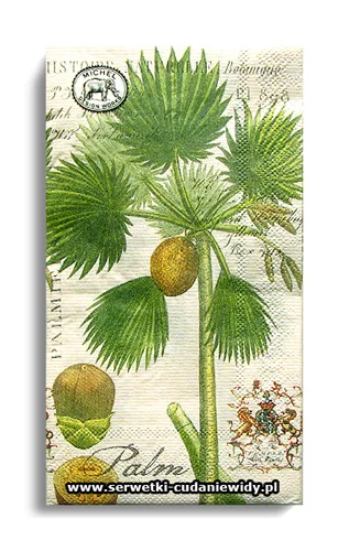 10361PACZKA Palm Island