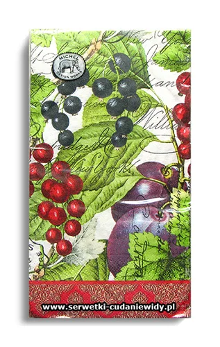 10365PACZKA Currant