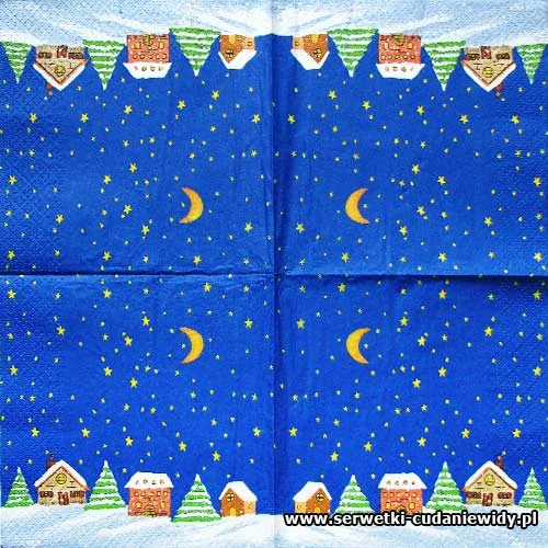 10381 Winter Night