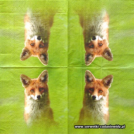 10453 Fox On Green