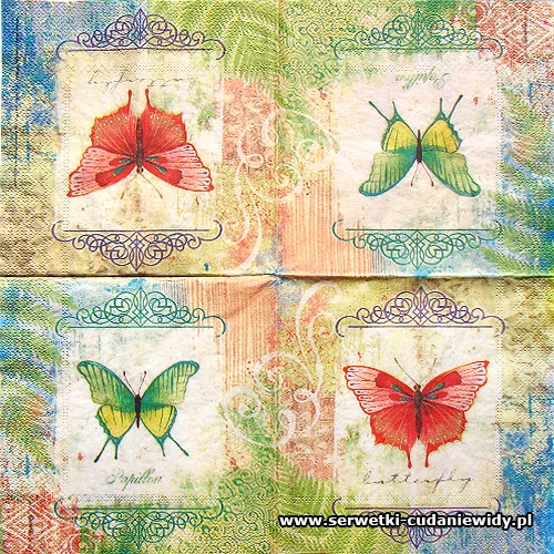 10455 Rainforest Butterfly