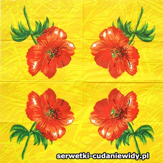 10506 Archiwalny Wzór