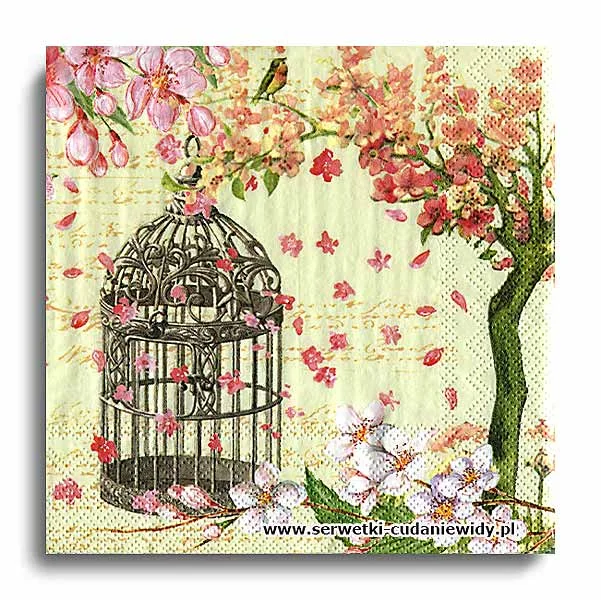 10523PACZKA Garden Cage