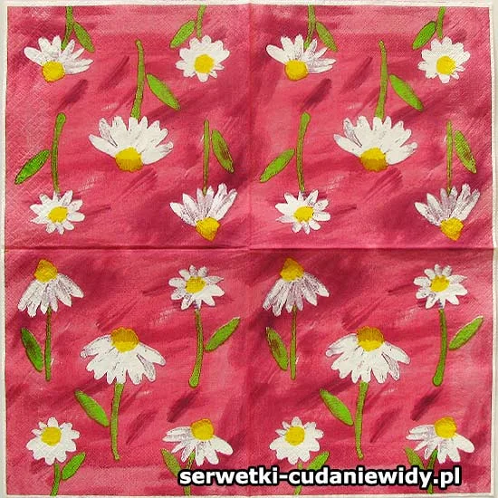 10576 Archiwalny Wzór