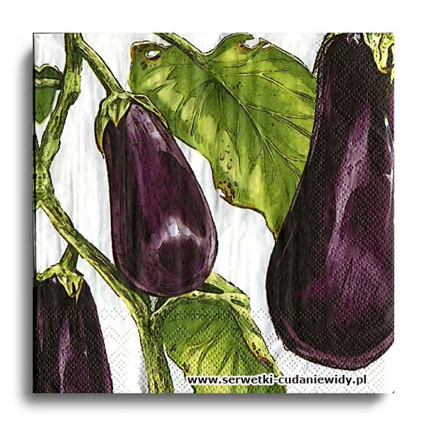 10669PACZKA Eggplant