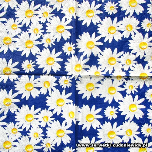 1074 Daisy White