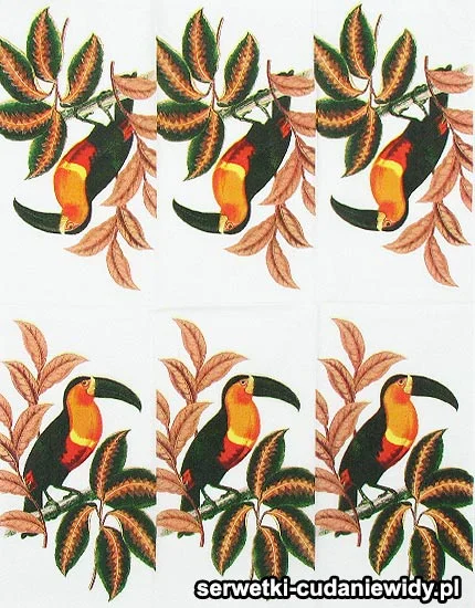 10818 Piękny Wzór