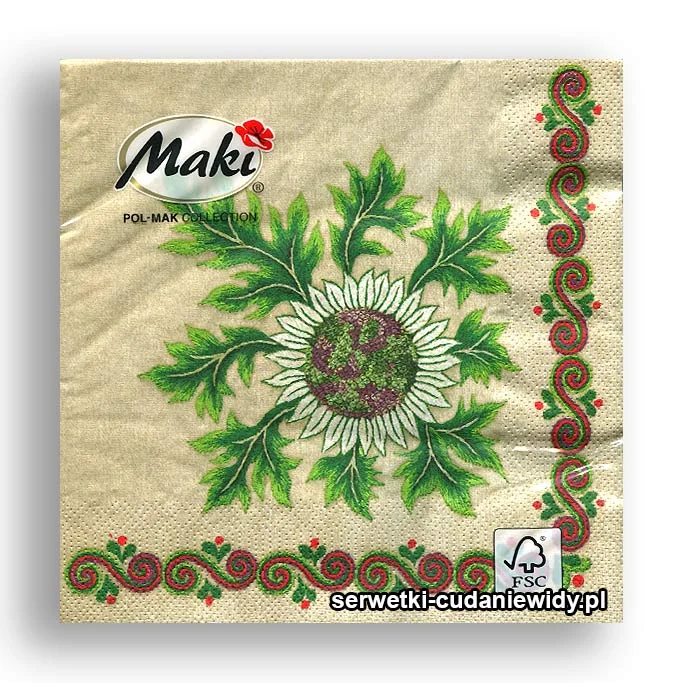 1081PACZKA Dziewięćsił Górski