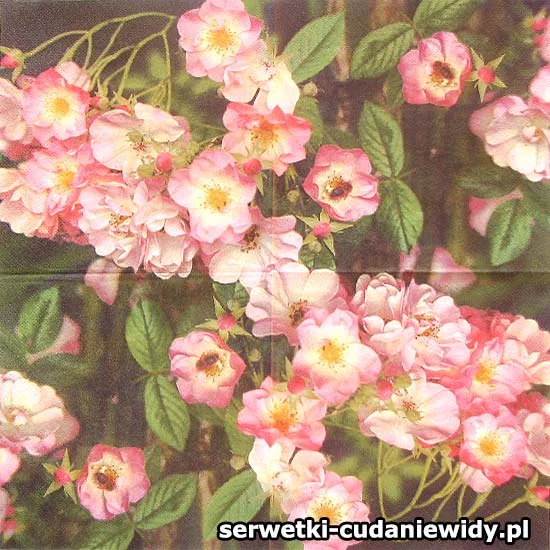 11043 Oryginalny Wzór