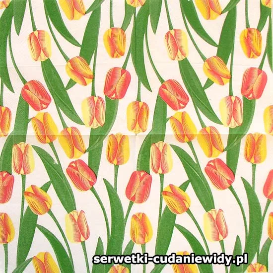 11047 Unikatowy Wzór