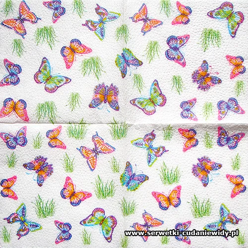 1106 Spring Butterlfy