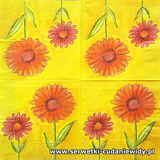 11080 Archiwalny Wzór